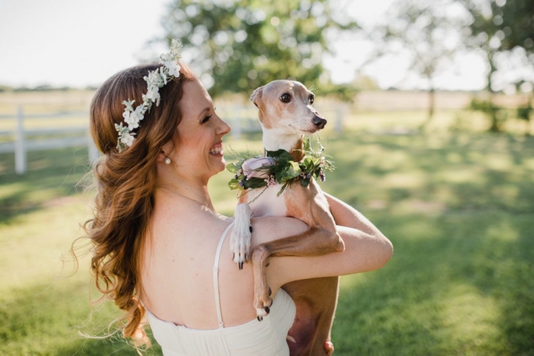 rescue dog with floral crown bride