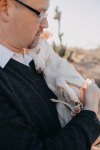 white italian greyhound hug