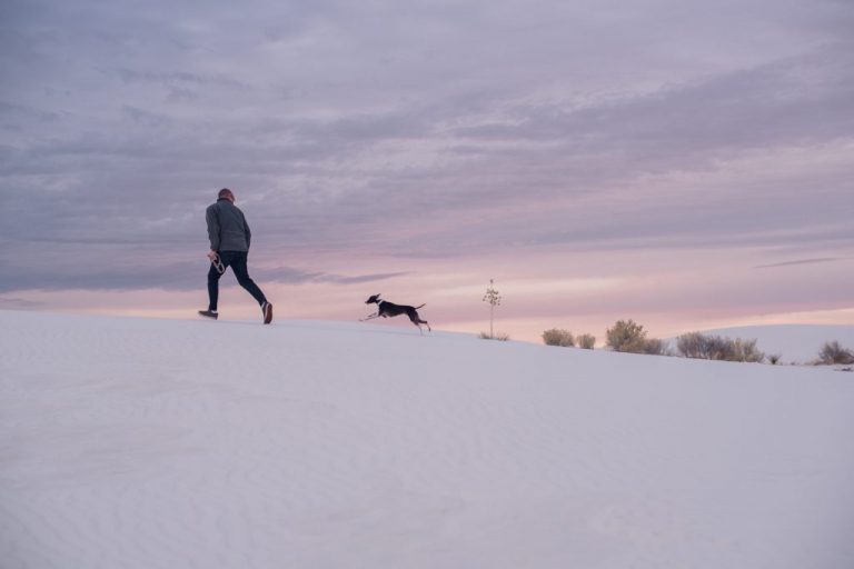 sunrise in white sands national park