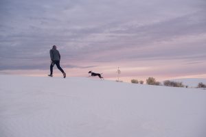 sunrise in white sands national park
