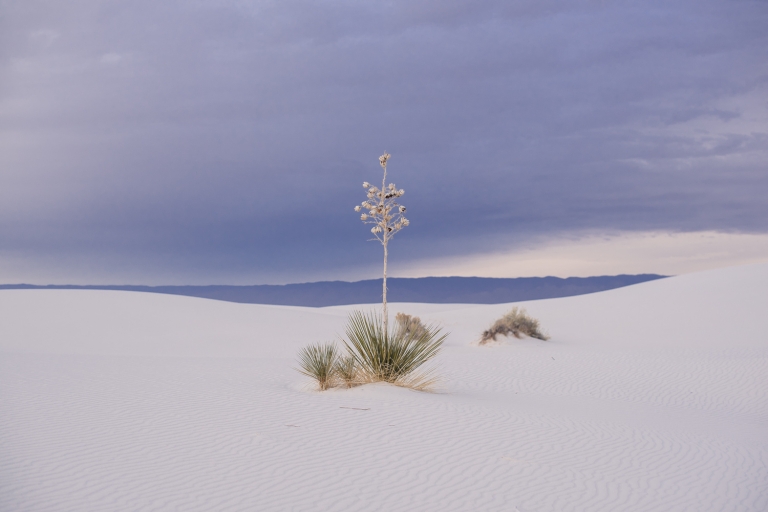 white sands national park is a great place for an adventurous elopement