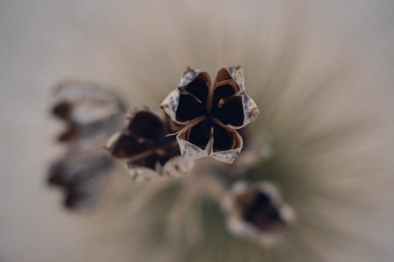 white sands national park is a great place for an adventurous elopement