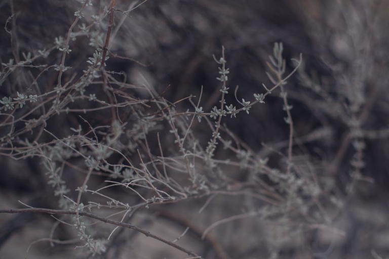 white sands national park is a great place for an adventurous destination elopement