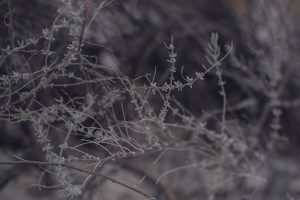 white sands national park, elopement photographer, adventure photography, adventure photographer
