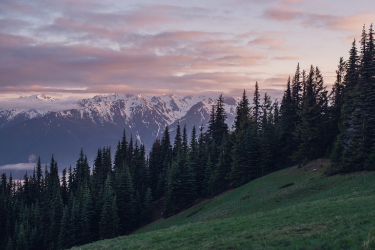purple mountains, pink sunset, mountain sunset, olympic national park, olympic mountain