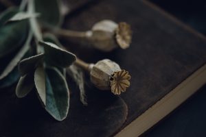 dried flowers, leather vow book, elopement photographer, adventure elopement photography
