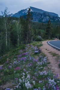 relopement scouting, adventure elopement photographer, rocky mountain adventures, colorado rockies, colorado rocky mountains, mountain range, colorado mountain range, rocky mountains, wildflowers, snowy mountain top, RMNP, Rocky Mountain National Park