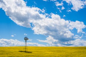 Wild Alberta, blue skies, windmill, adventure photography, Canada photographer, adventure photography and elopements, adventure elopement photographer
