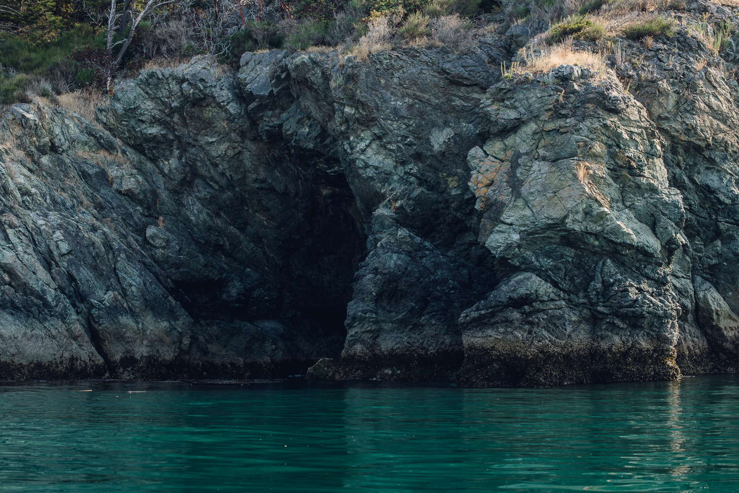 Kayaking Adventure on Fidalgo Island Melodic View
