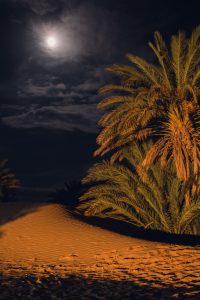 Sahara Desert, sand dunes, Morocco, moonlight, adventure photography and elopements