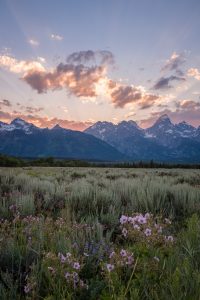 adventure photography and elopements, wyoming, eloping in grand teton national park, sunset